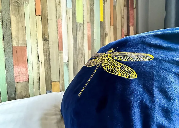 Explorer Old Town & #don't Be A Tourist, Be An Explorer! Hostel *